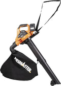 Laubsauger PMALS 20 Primaster Akku, Laubbläserbläser TwinPower 235 km/h 35l